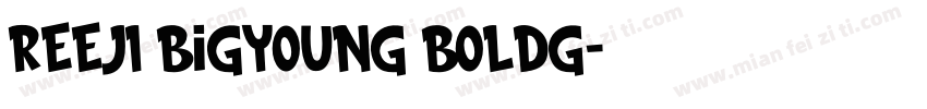 REEJI Bigyoung BoldG字体转换